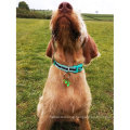 Reflective Dog Collars Small with Soft Two-tone Webbing